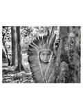 Salgado. Amazônia. Poster ‘Yawanawa Girl’